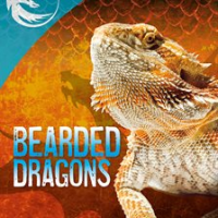Bearded_Dragons